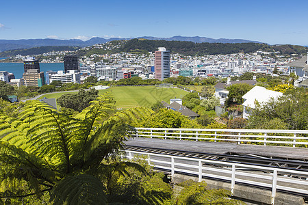 新西兰惠灵顿群岛的展望城市观光地标旅行民众爬坡游客过境火车历史性图片