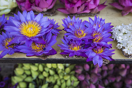 出售的花朵在T庙前作为供品销售崇拜文化世界佛教徒店铺祷告奉献传统仪式紫色图片