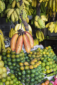 红 黄和绿香蕉挂在市场上出售 Kand销售水果摊位杂货店食物热带零售活力展示生产图片