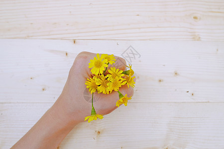手握黄色的花朵图片