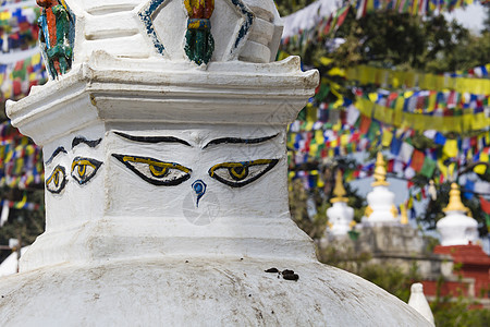 尼泊尔加德满都的祷告旗帜动物建筑猴庙旅行日落精神寺庙金子图片