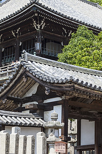 台阶的底部 进入东吉寺九津道堂旅游旅行游客多云楼梯地标寺庙水平大厅图片