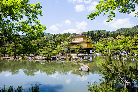 京都著名的金金馆日本森林木头寺庙水池地标休息金子旅游纪念碑宗教图片