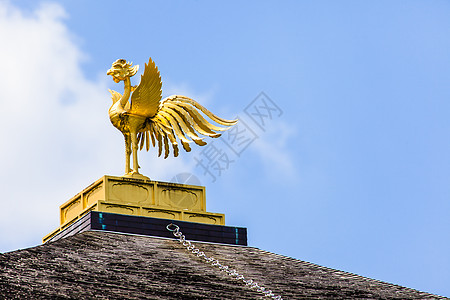 京都著名的金金馆日本城市森林木头建筑精神树木宗教地标寺庙旅游图片