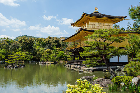 日本京都的金金宝馆 辛古寺吉文化金子森林寺庙纪念碑城市精神水池木头树木图片