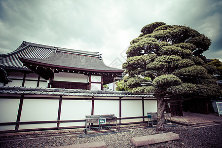 京都 花园和寺庙顶峰历史性天桥红叶行人枫树树木季节光洋橙子图片