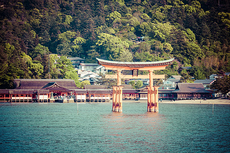 Miyajima 日本广岛的海洋中 著名的大神道观光大鸟宗教世界历史性神道海岸传统神社旅游图片