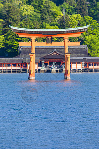 Miyajima 日本广岛的海洋中 著名的大神道神道地标世界神社大鸟网关传统宗教历史历史性图片