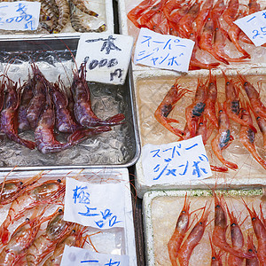 日本市场上销售的原生海产食品海鲜鲭鱼店铺产品美食贝类海洋螃蟹庆典零售图片