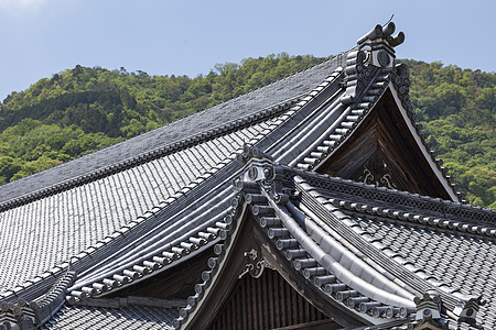 日本佛教寺院的屋顶文化寺庙神社树木场景地标净土历史性宗教木头图片