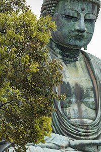 大佛大布苏 位于印度的Kotokuin寺庙历史性宗教天空佛教徒青铜国家金属地标冥想风景图片