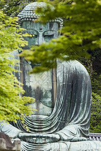 大佛大布苏 位于印度的Kotokuin寺庙国家青铜地标文化遗产风景天空艺术宗教冥想图片