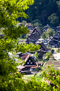 传统和历史古老的日本小岛Ogimachi村     日本白川之国遗产鸟瞰图地标博物馆建筑房屋橙子三角形农家森林图片