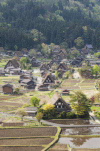 传统和历史古老的日本村庄白川文化森林建筑学历史性村庄遗产三角形房子世界建筑背景图片