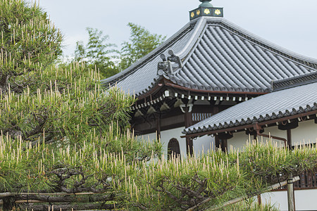 Toji东寺是新贡教派的佛教庙宇季节建筑遗产寺庙树木佛教徒宗教旅行风景神社图片