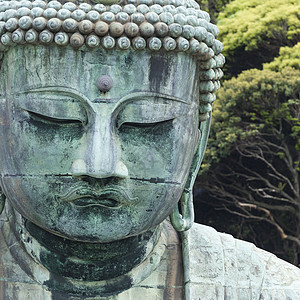 大佛大布苏 位于印度的Kotokuin寺庙冥想国家大佛文化雕像艺术遗产宗教地标佛教徒图片