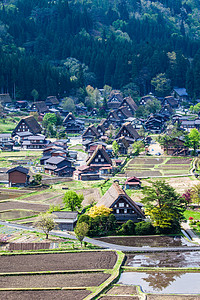 传统和历史古老的日本小岛Ogimachi村     日本白川之国房屋农家建筑村庄房子博物馆地标历史性三角形遗产图片