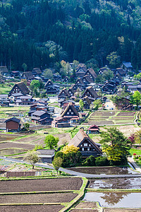 传统和历史古老的日本小岛Ogimachi村     日本白川之国房屋农家建筑村庄房子博物馆地标历史性三角形遗产图片