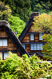 传统和历史古老的日本小岛Ogimachi村     日本白川之国建筑森林橙子三角形博物馆地标遗产建筑学房子房屋图片