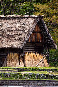 传统和历史古老的日本小岛Ogimachi村     日本白川之国博物馆农场三角形历史性建筑房屋村庄房子文化橙子图片