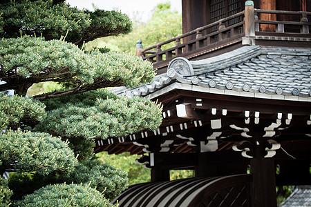 日本京都传统寺庙 日本京都精神神社建筑神道建筑学上帝佛教徒宗教仪式旅游图片