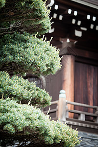 日本京都传统寺庙 日本京都仪式地标精神灯笼建筑学上帝佛教徒神道宗教旅游图片