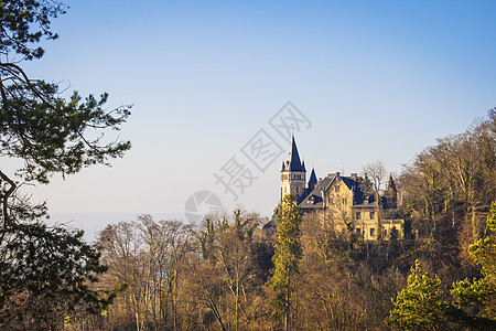 巴伐利亚的旅行树木建筑学森林景点蓝色太阳城堡兴趣旅游图片