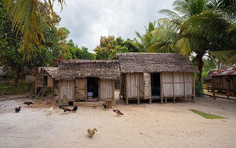 马达加斯加马拉昂antsetra地区的非洲疟疾小屋平房文化荒野国家窝棚热带农村乡村异国茅屋图片