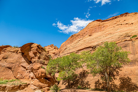 切利国家纪念碑峡谷纪念碑历史悬崖遗迹国家沙漠公园岩画游客下巴图片