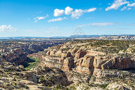 Calf Creek 娱乐区风景巨石树木沙漠天空小路台面纪念碑猪背国家图片