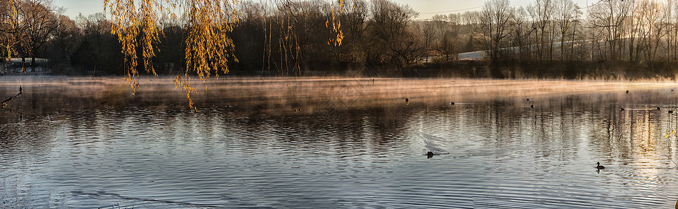 清晨雾中的阿布斯克彻池塘全景图片