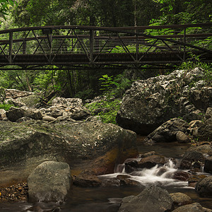 天然桥梁溪溪流森林瀑布岩石风景石头热带国家荒野生态图片