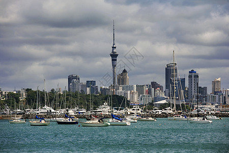 Waitemata 海港 奥克兰港视图图片