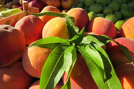 新鲜桃子农工作物部门盒子食物浆果植物农业市场综合体图片