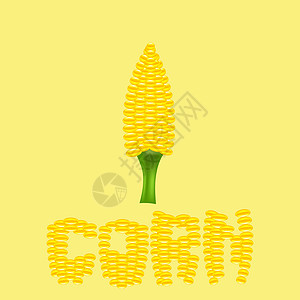 黄cob 玉米食物植物群金子收成玉米芯植被夫妻蔬菜爆米花食品图片