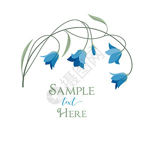 夏花风铃花束野花荒野邀请函枝条刷子打印蓝色绘画植物群图片