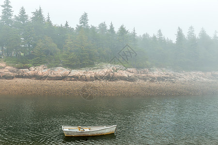 关于Schoodic的福吉早绳索海浪松树岩石码头藻类陷阱支撑进口船只图片