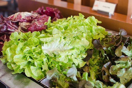生菜沙拉午餐饮食食物营养叶子盘子蔬菜美食花园绿色图片