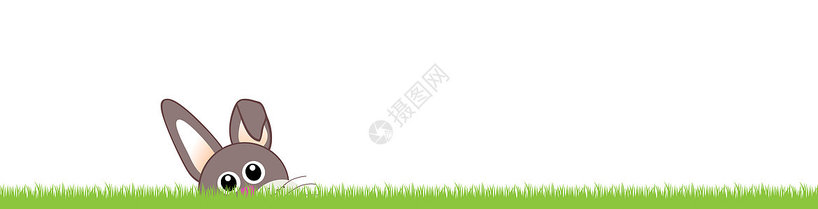 复活节 复活节贺卡节日兔子绿色问候白色卡片草地背景图片