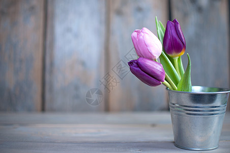 春季郁金香背景植物花朵木头纪念日紫丁香白色空白花束粉色框架图片