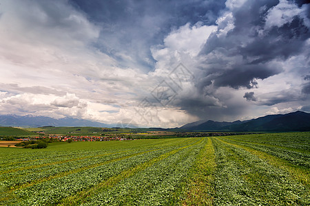 山中春雨和暴风雨 斯洛伐克的绿春山草地植物阳光场景晴天农业天空场地农村环境图片