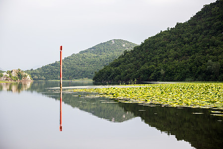 黑山Skadar湖静水反射公园旅行海岸线场景土地爬坡岩石风景阳光图片