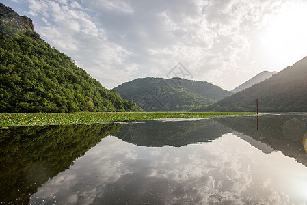 黑山Skadar湖静水场景阳光植物岩石地平线蓝色风景旅行曲线爬坡图片