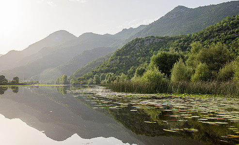 黑山Skadar湖静水风景曲线岩石天空旅行地平线爬坡公园土地反射图片