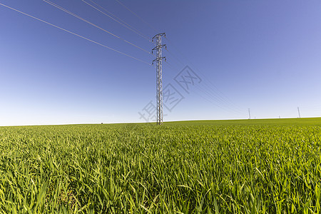 绿地电塔紧张变压器基础设施危险电压电缆力量网络介质线路图片