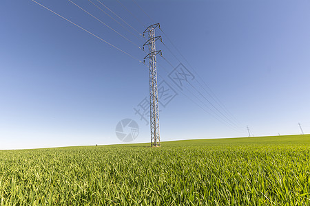 绿地电塔接线变压器力量金属电力能量危险电缆变电站线路图片