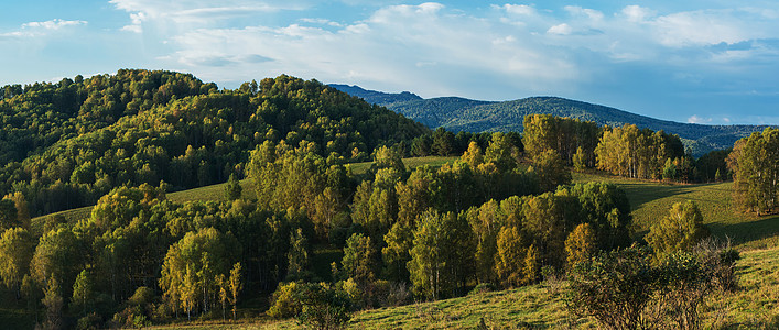 山上的美丽黎明太阳草地天堂阳光日落针叶季节森林旅游国家图片