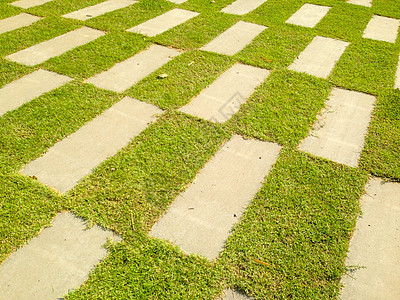 水泥路 周围是绿草走道绿色灰色人行道叶子地面公园正方形花园图片
