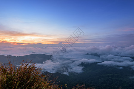 泰国Phu Chi Fa森林公园日出旅游山脉蓝色石头岩石薄雾顶峰旅行森林景点图片