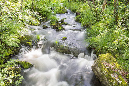 丝绸水流进一条河流 在野林的中间图片